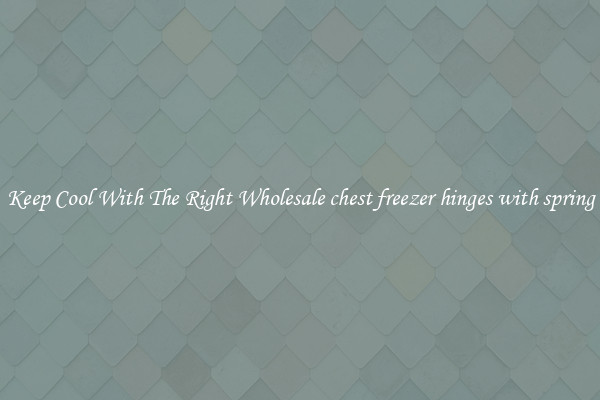 Keep Cool With The Right Wholesale chest freezer hinges with spring