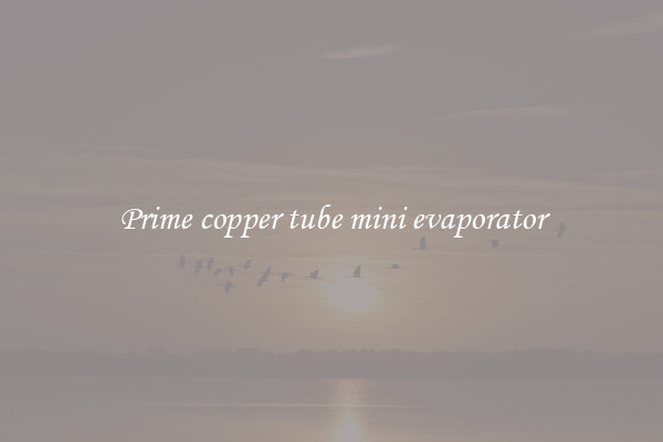 Prime copper tube mini evaporator