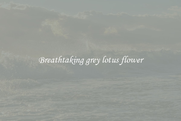 Breathtaking grey lotus flower