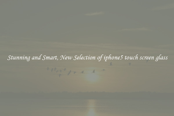 Stunning and Smart, New Selection of iphone5 touch screen glass