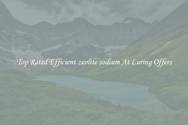 Top Rated Efficient zeolite sodium At Luring Offers
