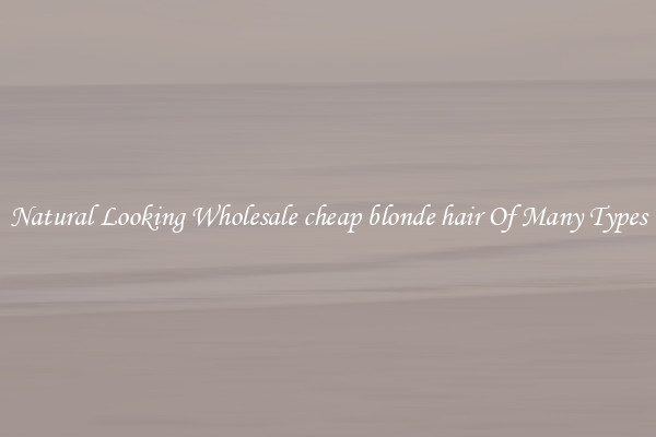 Natural Looking Wholesale cheap blonde hair Of Many Types