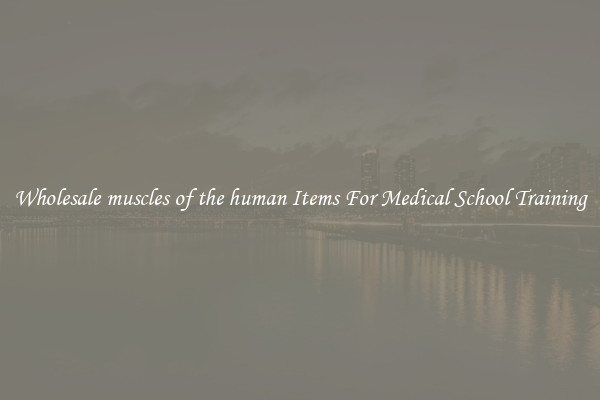 Wholesale muscles of the human Items For Medical School Training