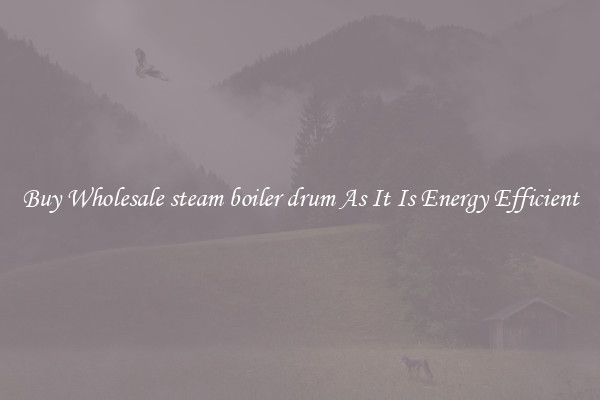Buy Wholesale steam boiler drum As It Is Energy Efficient