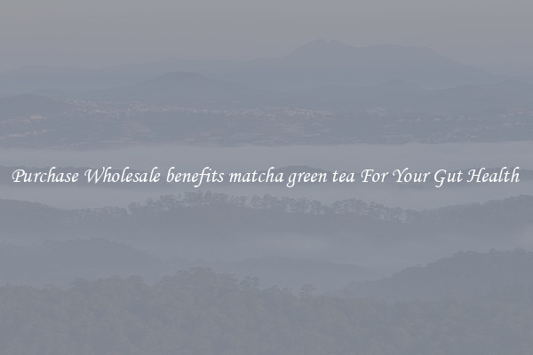 Purchase Wholesale benefits matcha green tea For Your Gut Health 