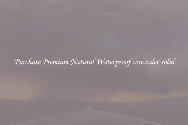 Purchase Premium Natural Waterproof concealer solid