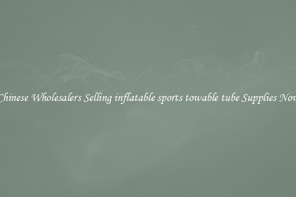 Chinese Wholesalers Selling inflatable sports towable tube Supplies Now