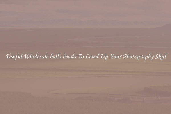Useful Wholesale balls heads To Level Up Your Photography Skill