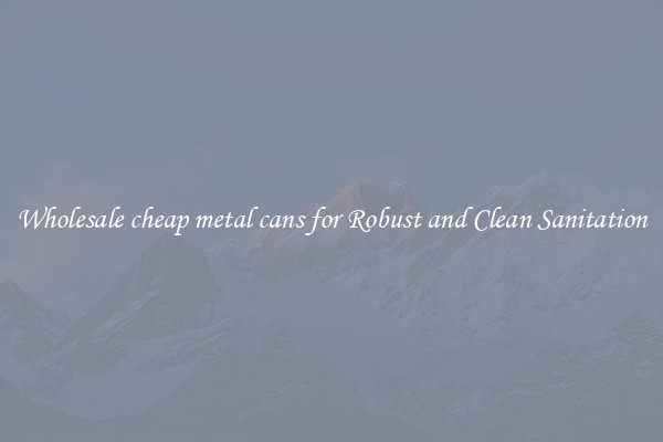 Wholesale cheap metal cans for Robust and Clean Sanitation
