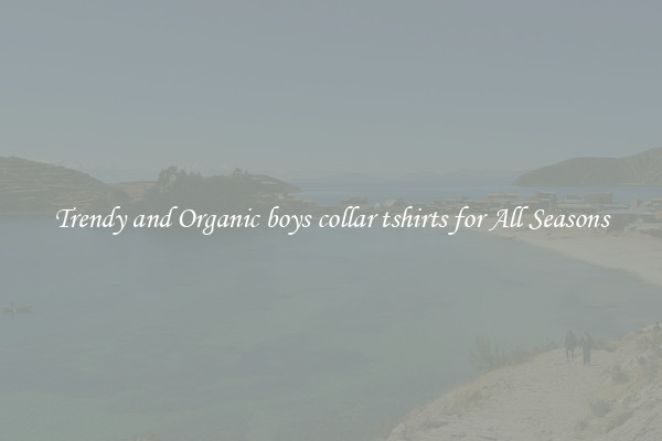 Trendy and Organic boys collar tshirts for All Seasons
