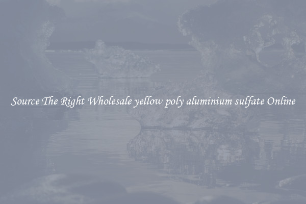 Source The Right Wholesale yellow poly aluminium sulfate Online