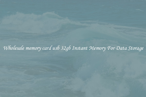 Wholesale memory card usb 32gb Instant Memory For Data Storage