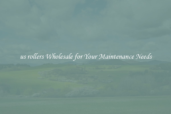 us rollers Wholesale for Your Maintenance Needs