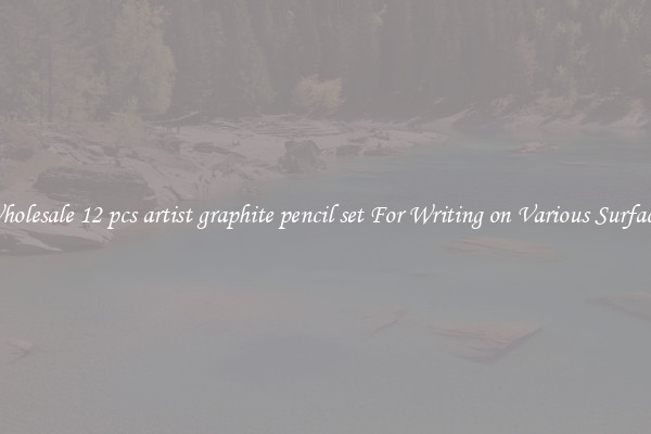 Wholesale 12 pcs artist graphite pencil set For Writing on Various Surfaces