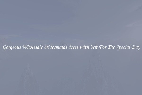 Gorgeous Wholesale bridesmaids dress with belt For The Special Day