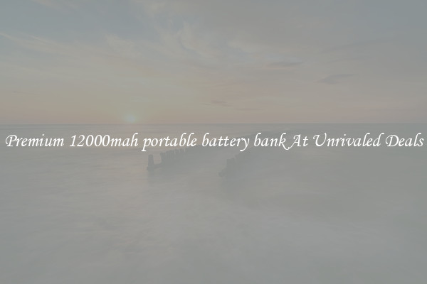 Premium 12000mah portable battery bank At Unrivaled Deals